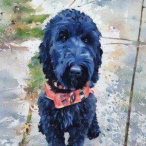 Meet your Posher, Josh